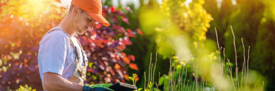 Agritourism business owner works with local plants.