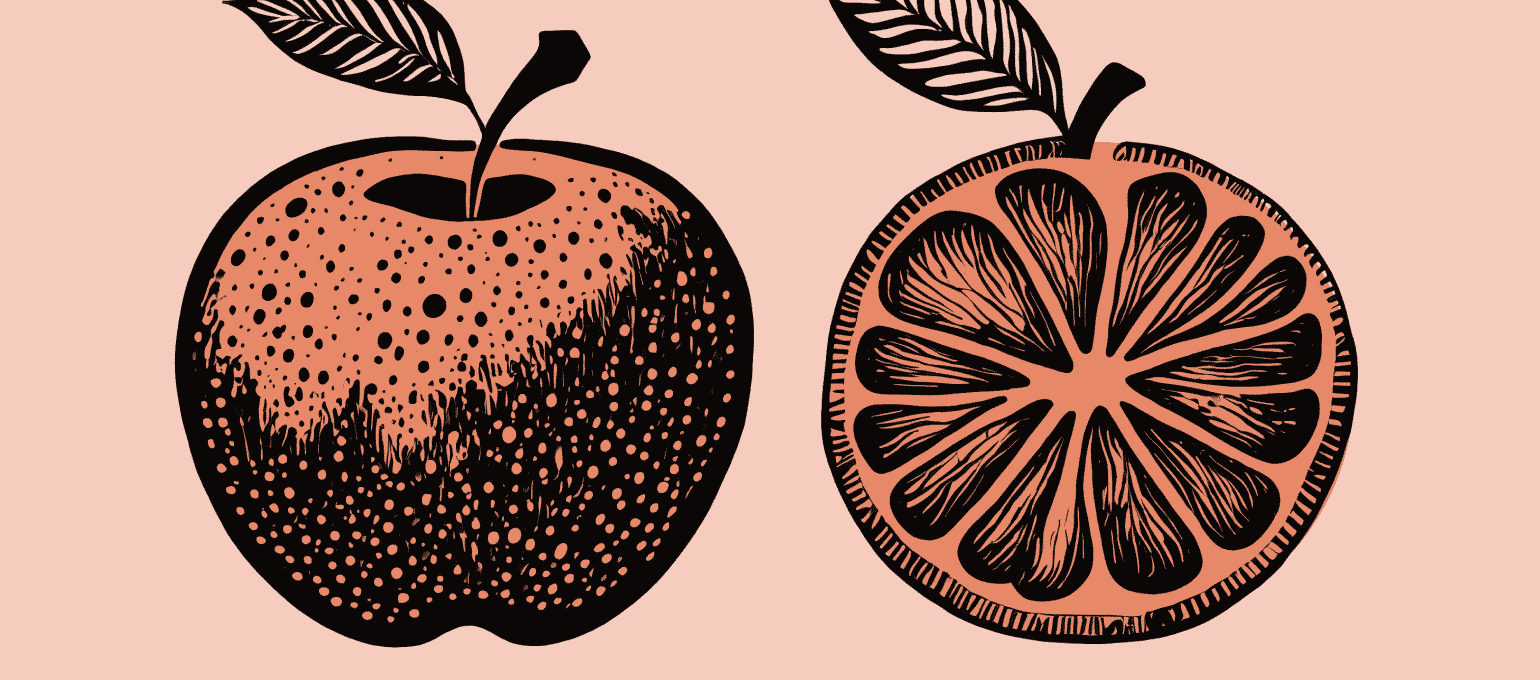 Apples and oranges. Representing different business plan types and how they are similar and different at the same time.